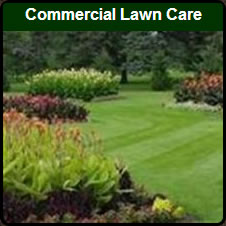 Commercial Lawn Services In Del Norte County